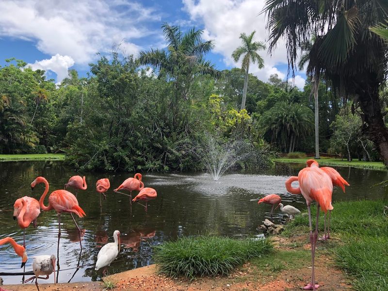 This Magical Florida Garden Lets You Hand-Feed Flamingos and Meet Lemurs 13 A Historic Florida Attraction Since the 1930s