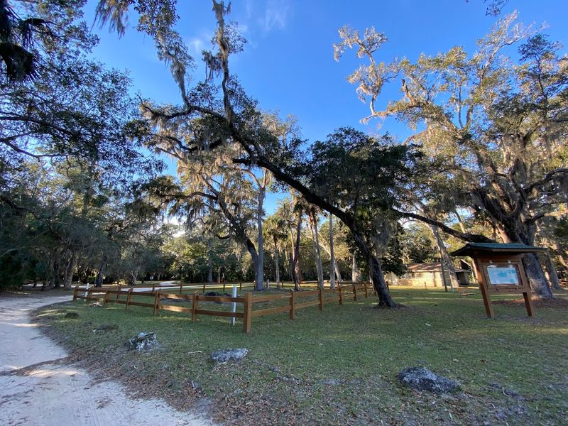 Picnic Areas Shaded by Ancient Live Oaks