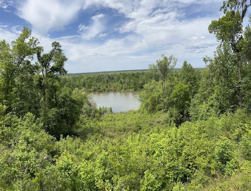 Torreya State Park - Bristol, Florida
