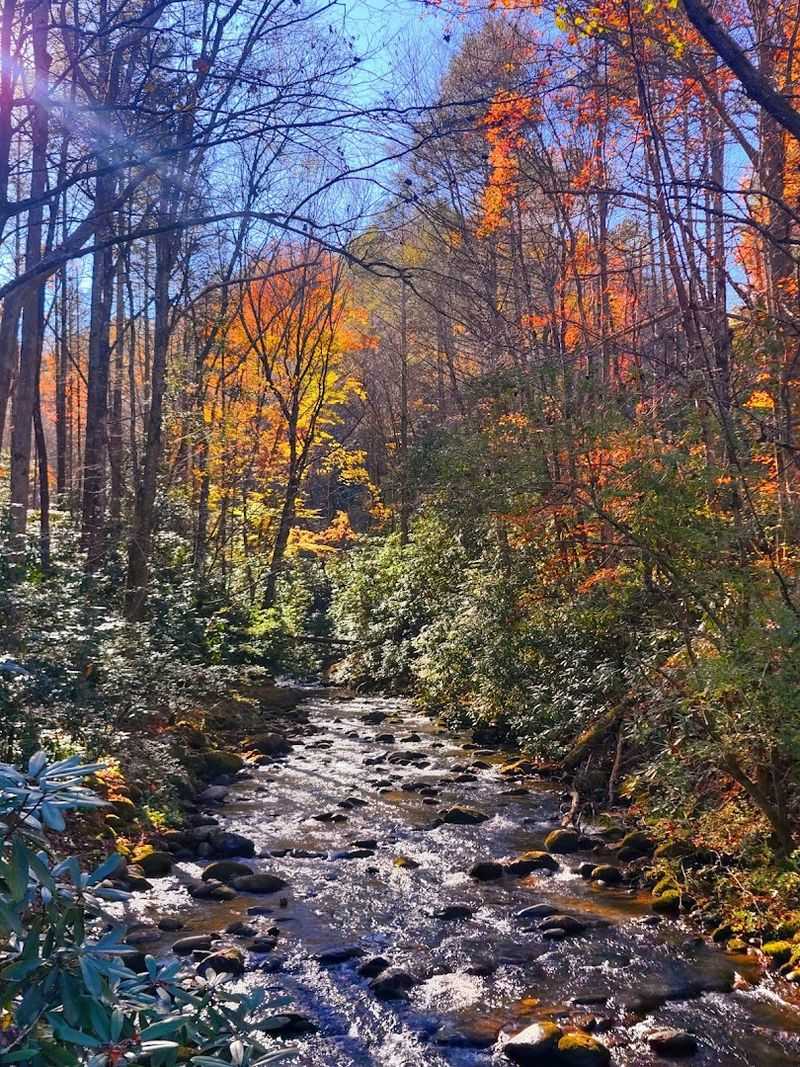 14 Beautiful Mountain Towns in Tennessee Perfect for Relaxing 14 Cosby - Cosby, Tennessee