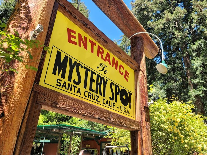 The Mystery Spot - Santa Cruz, California
