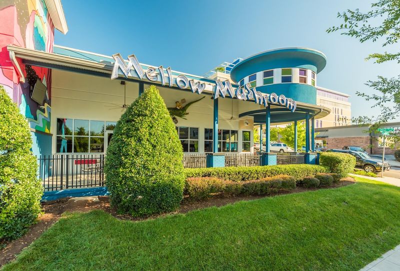 11 Tennessee Pizza Places That Stay Packed Even On Weeknights 5 Mellow Mushroom Knoxville - Knoxville, Tennessee