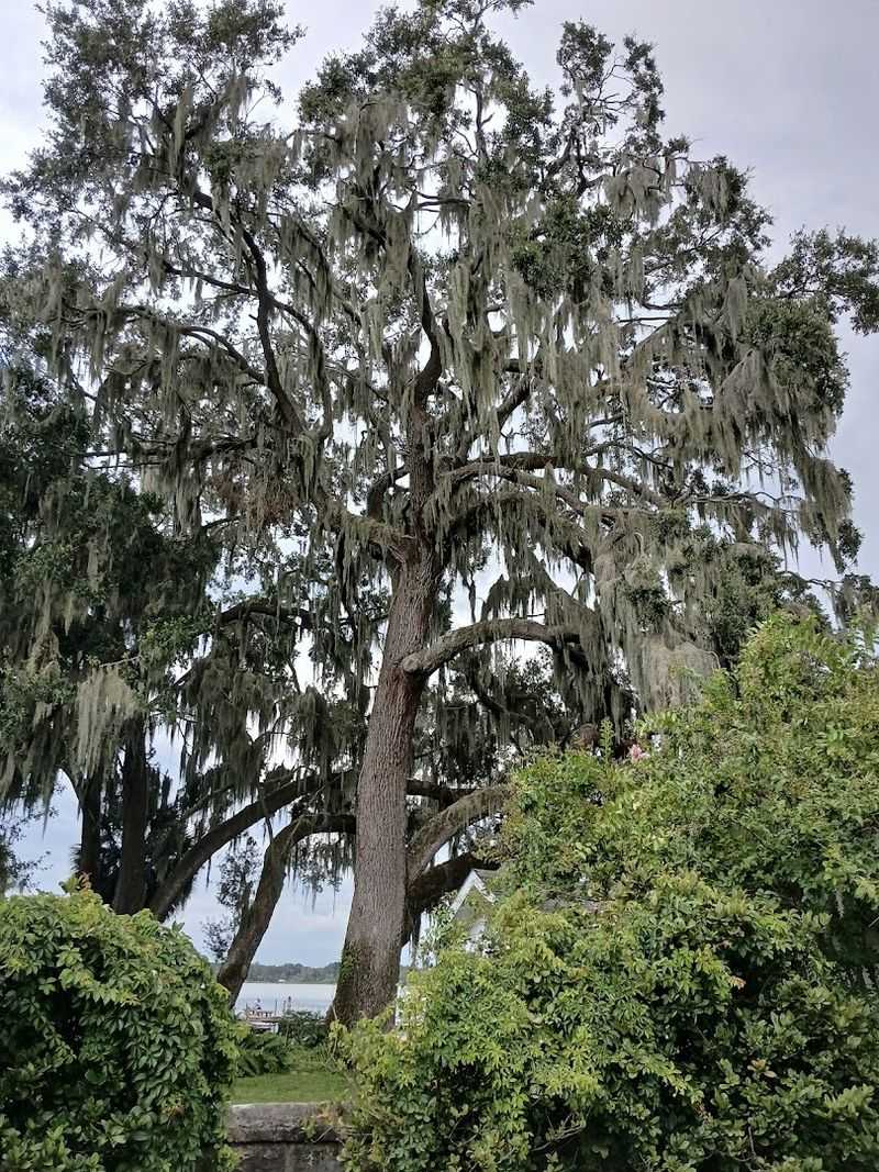 The Lighthouse and Waterfront Park Experience