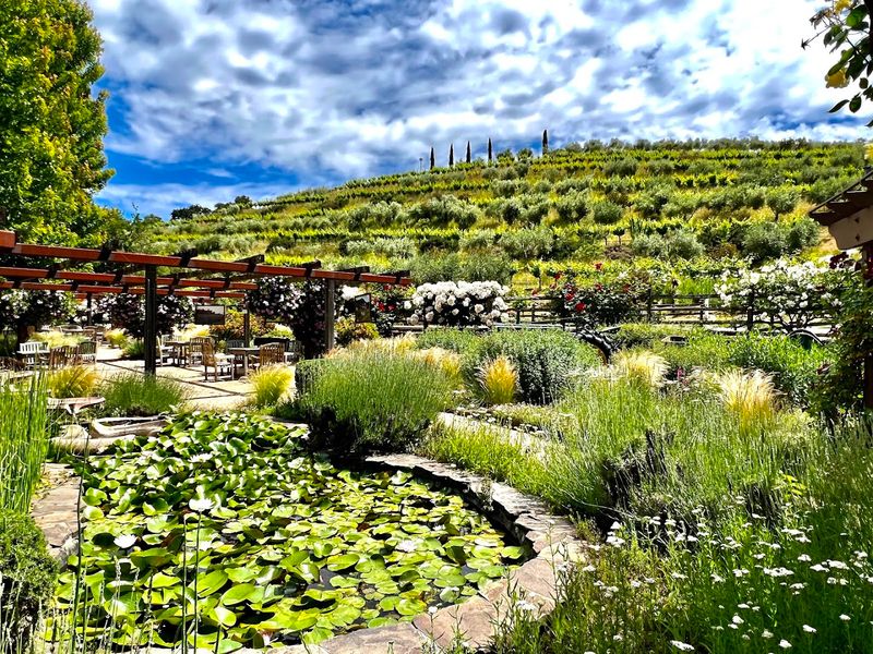 This quiet California wine country spot feels like a secret people are struggling not to share 8 Benziger Family Winery and Biodynamic Farming Tours