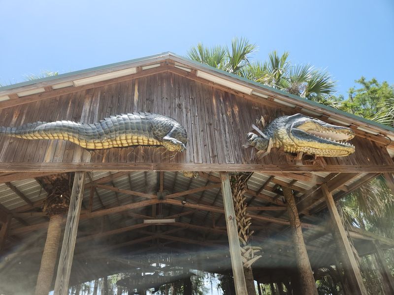 Trying Gator Food at the Cafe