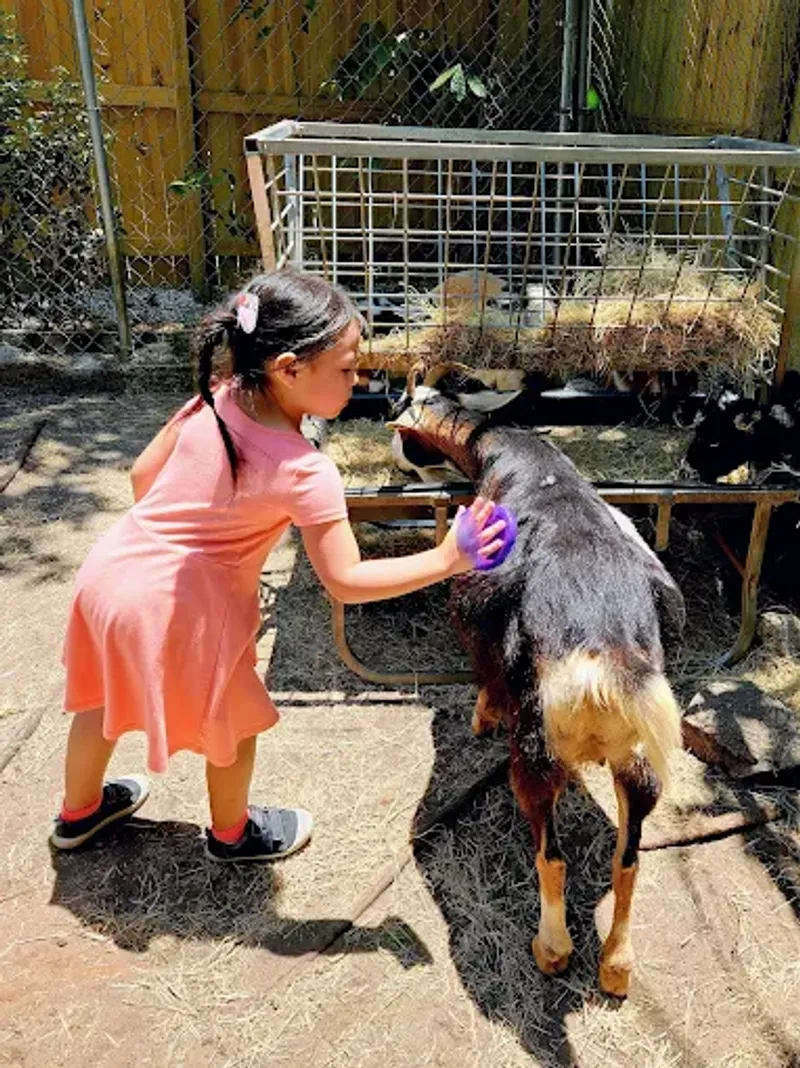 This Magical Florida Garden Lets You Hand-Feed Flamingos and Meet Lemurs 10 The Petting Zoo with Goats and Sheep