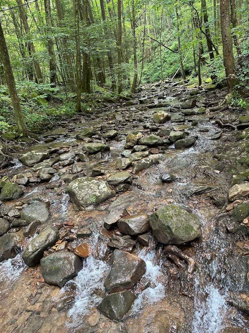 13 Florida coastal communities people quietly fall in love with 8 Frozen Head State Park - Wartburg, Tennessee