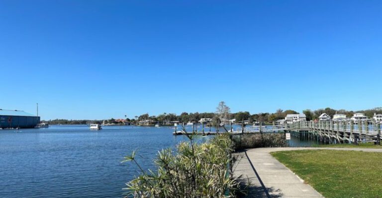 Find Out Why Crystal River, Florida Is Becoming One of the South’s Coolest Towns