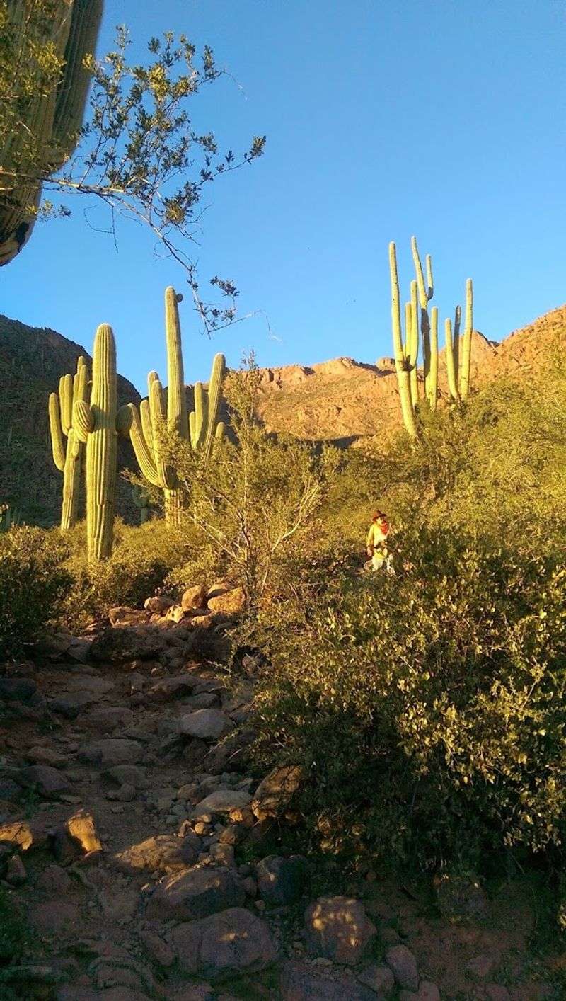 Breaking Down the 3-Mile Route