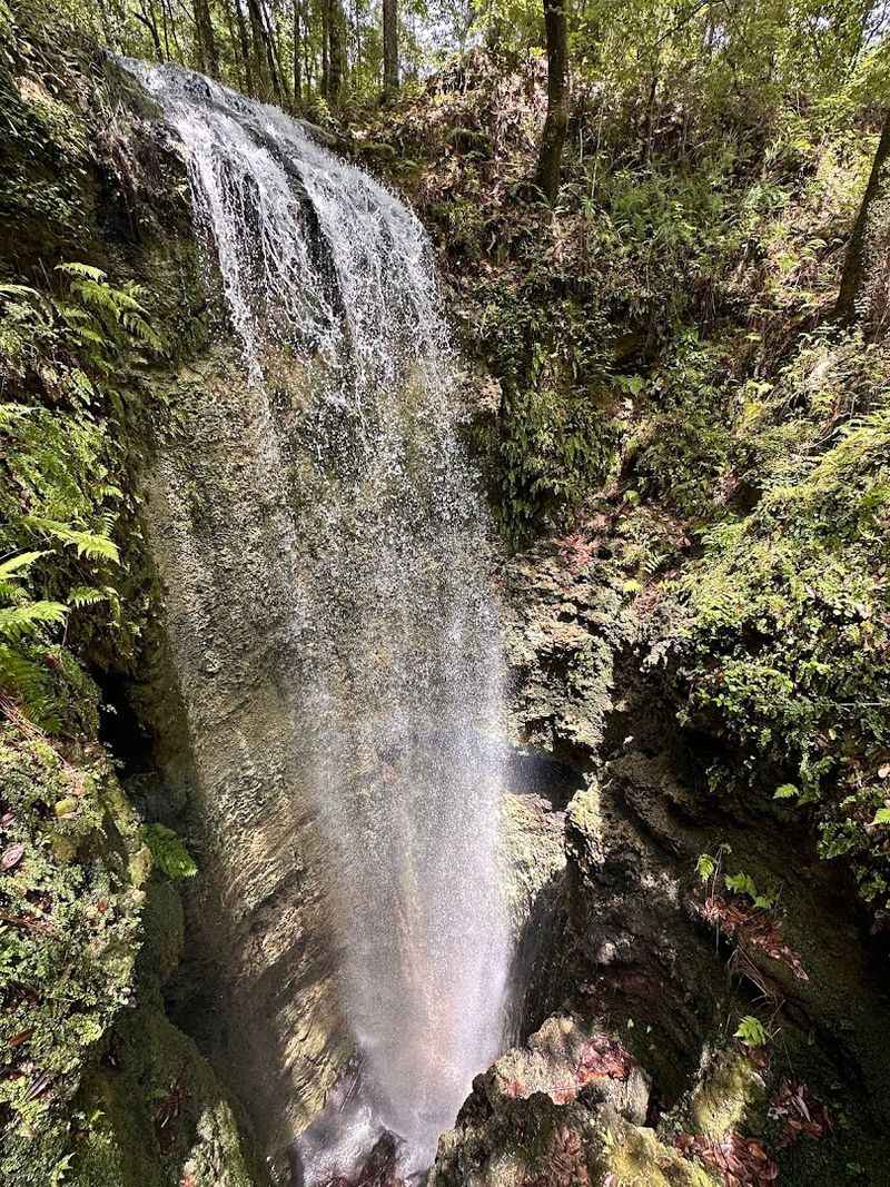 Florida's Tallest Waterfall — Yes, Really