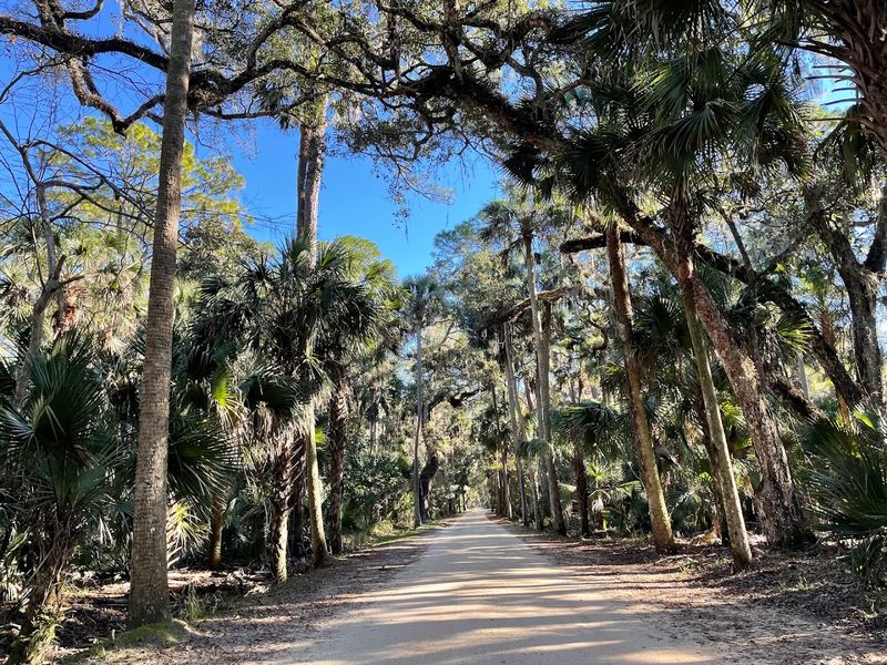 The Woodland Trail That Starts It All