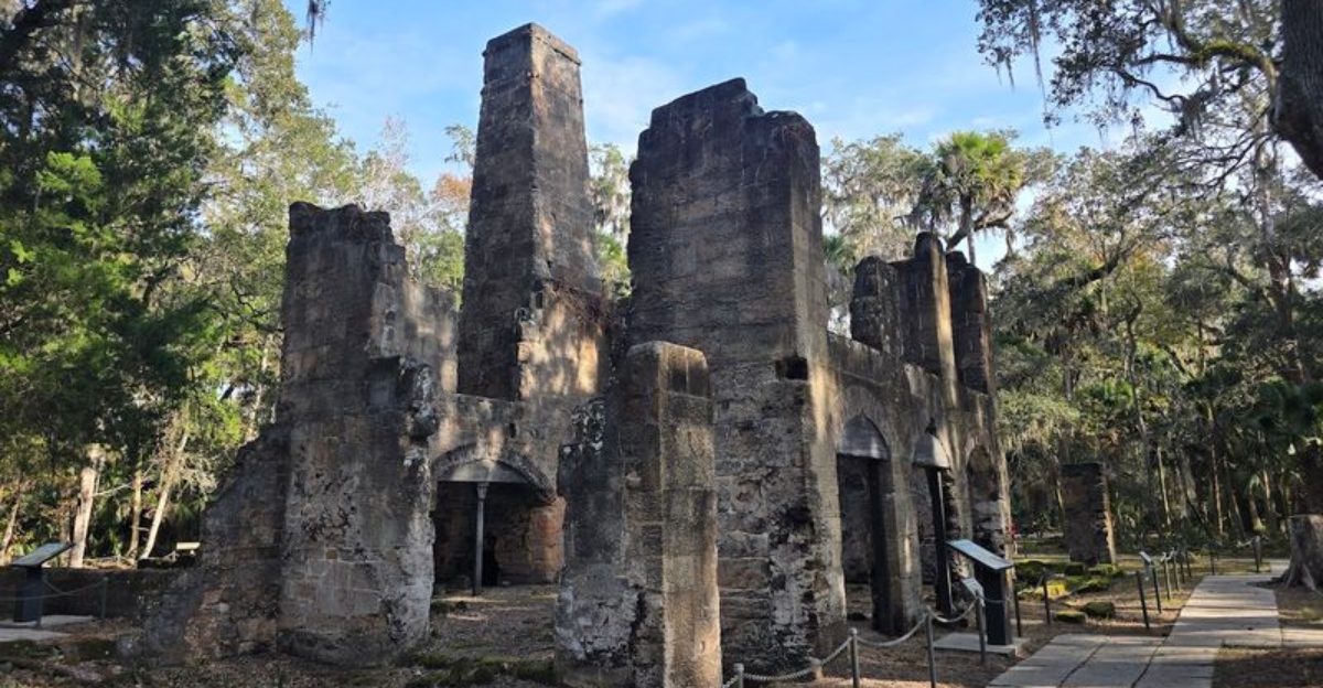 Follow This Quiet Woodland Trail in Florida to Discover Historic Plantation Ruins