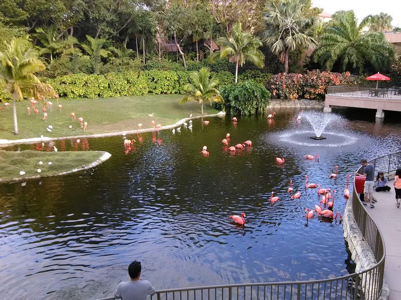 Friendly and Knowledgeable Staff