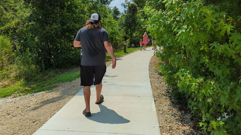 Accessibility and Physical Requirements for the Cave Tour