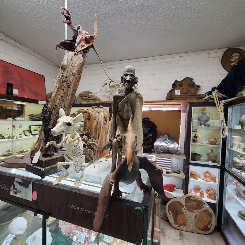 A Back Room Full of Private Collection Displays