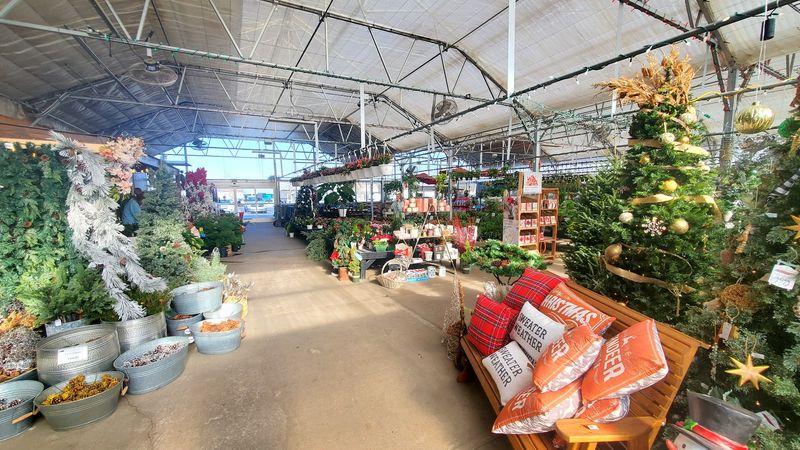 Knowledgeable Staff Who Actually Love What They Do