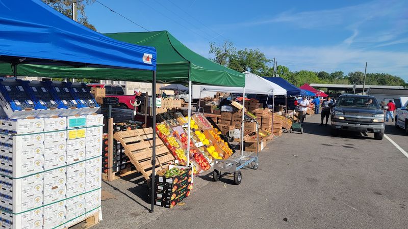 This Florida greenhouse destination is where plant lovers go when basic garden centers no longer impress them 4 The Cash-Only Culture That Keeps Prices Low
