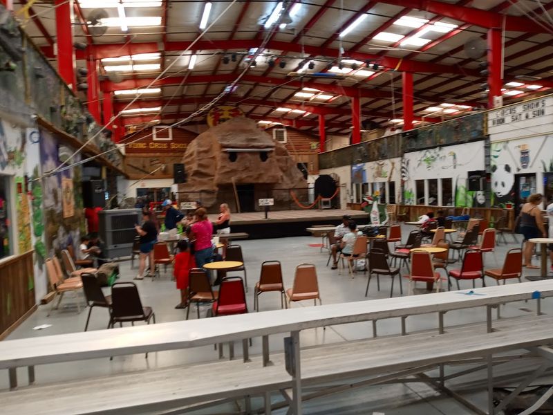 A Free Circus Right in the Middle of It All