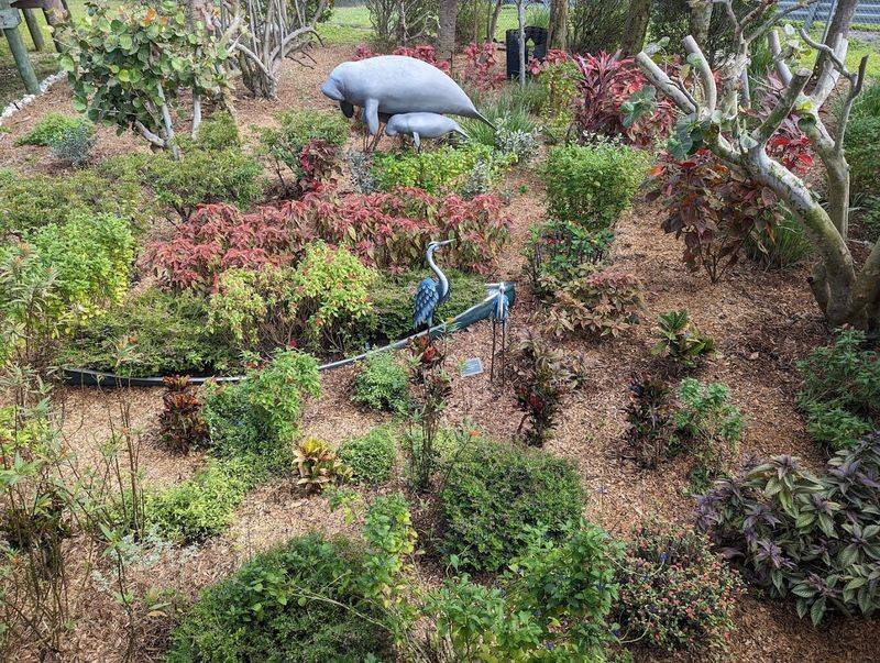 This Florida island town feels like the perfect escape for anyone tired of traffic, crowds, and noise 8 Wildlife That Shares the Island With You