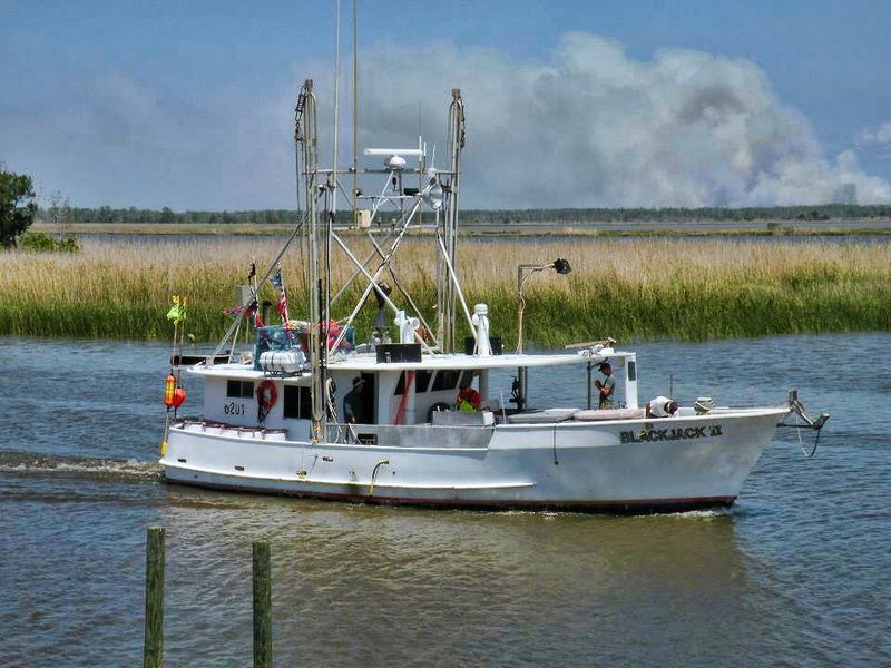 This Florida beach town has the kind of charm people wish the rest of the country still had 11 Freshwater and Saltwater Fishing Like Nowhere Else