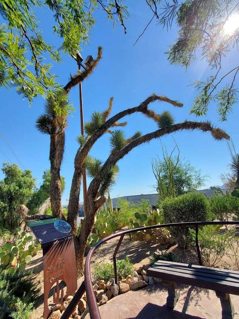 Seating Areas and Restroom Facilities