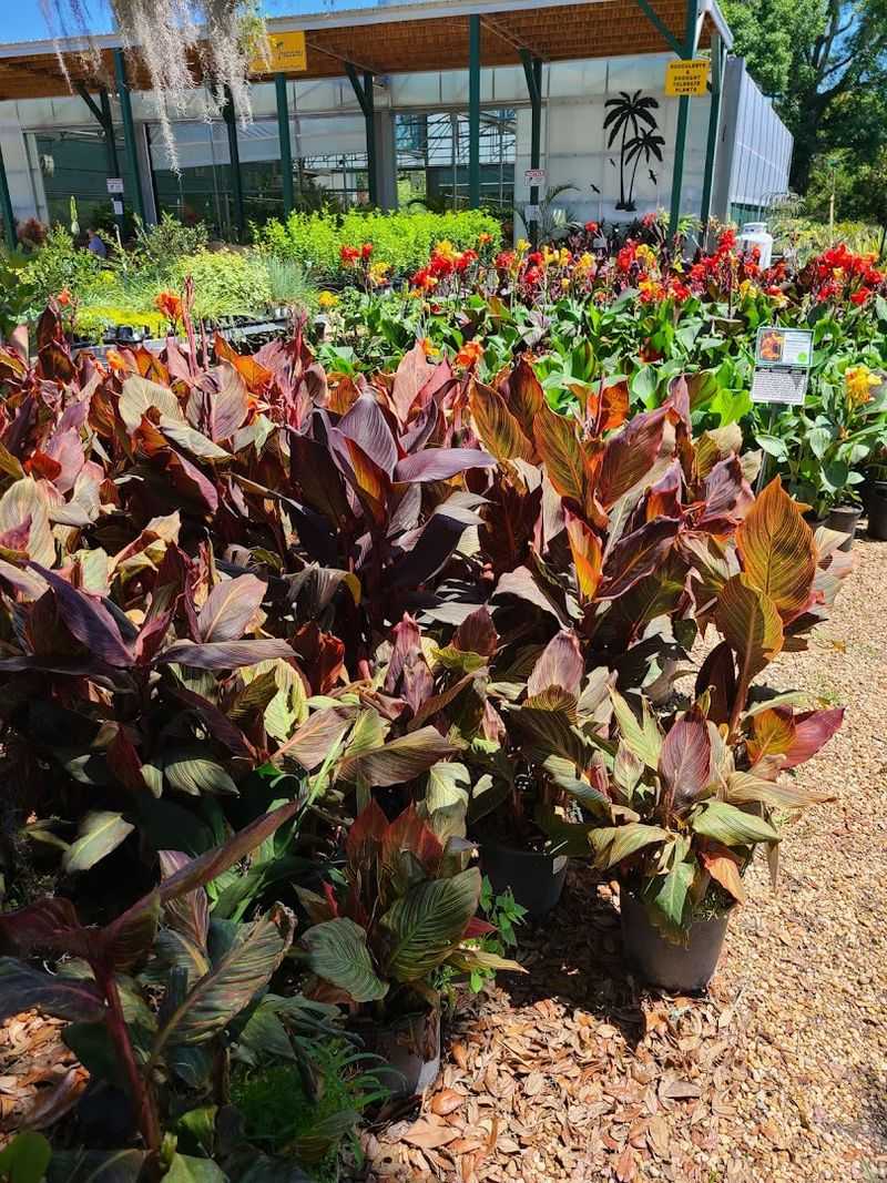 Clean, Welcoming Space for the Whole Family