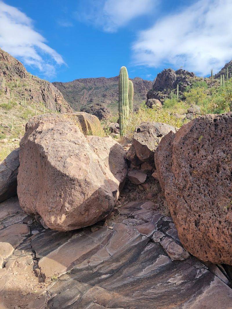 Reading the Desert Terrain