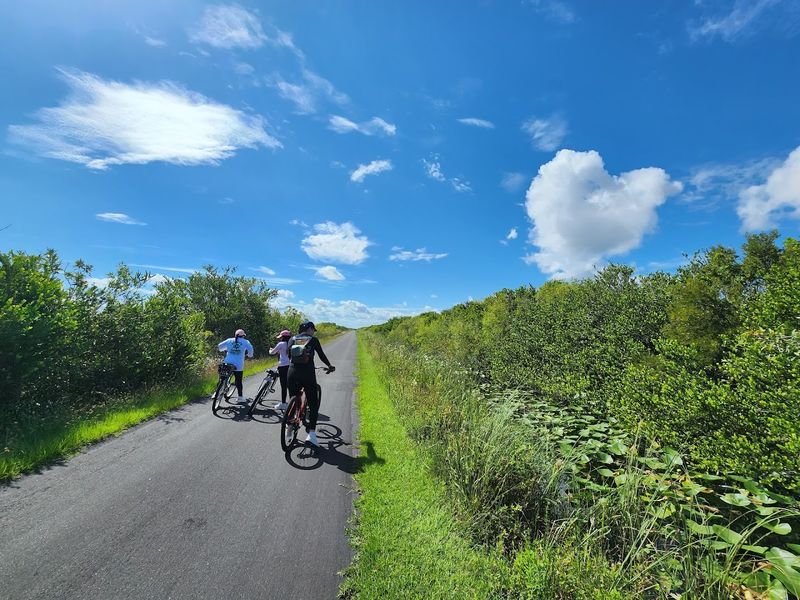 Hike to This Florida Overlook That Resembles a Mini Space Needle 4 Renting a Bike at Shark Valley: What You Need to Know First