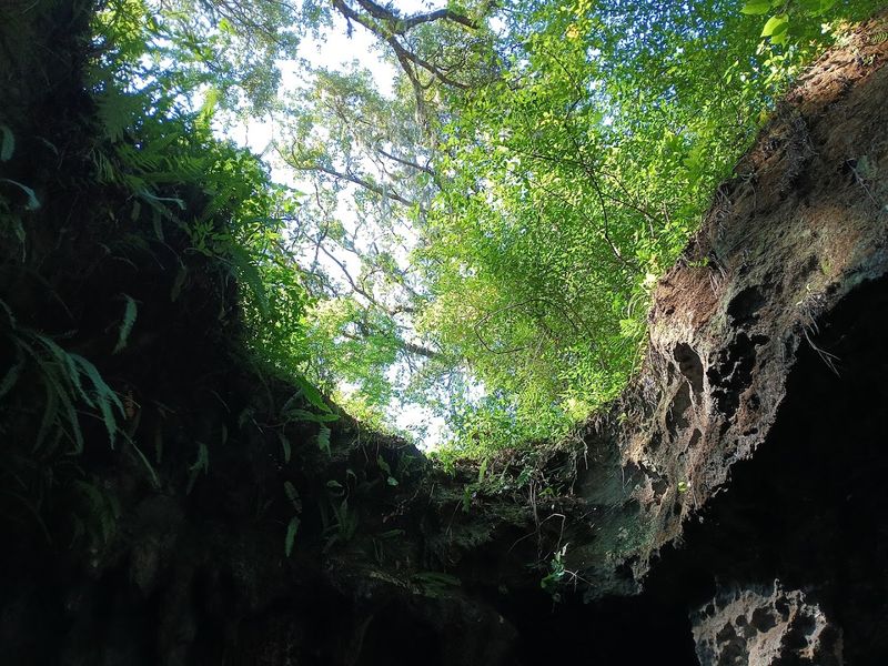 This Florida Cave Trail Offers a Thrilling Hike for the Whole Family 4 Four Caves to Explore Along the Trail