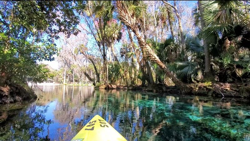 Kayaking and Canoeing on the Silver River