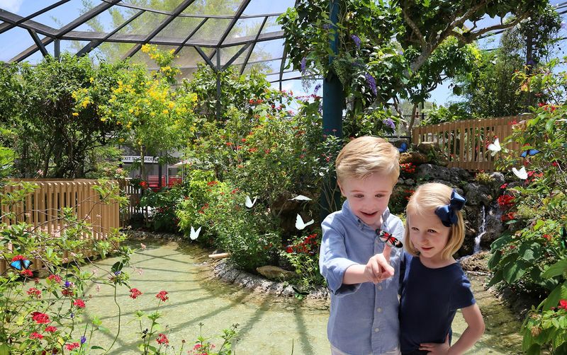 The World's Largest Butterfly Park Is This 10-Acre Conservatory in Florida 7 Discounts and Tips That Save Your Family Real Money
