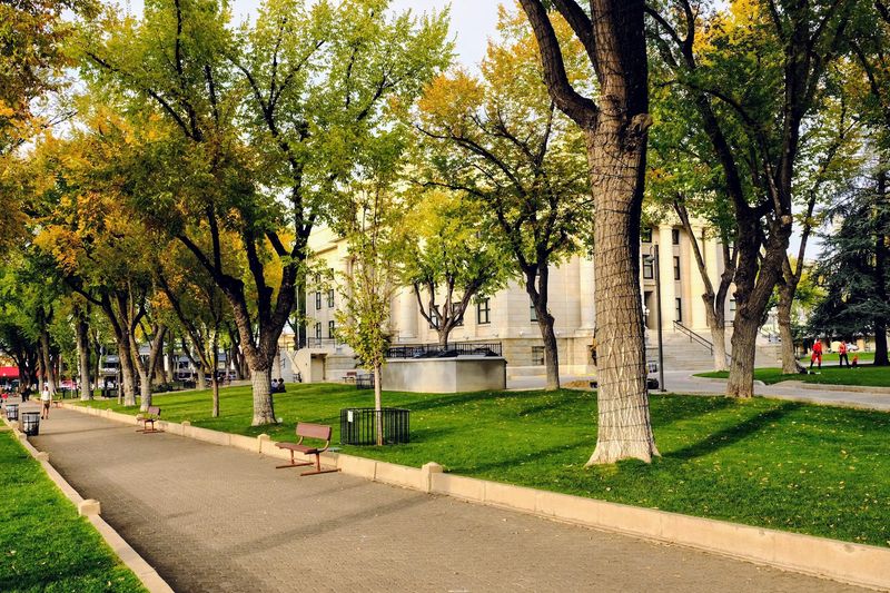 Courthouse Plaza: The Beating Heart of Downtown