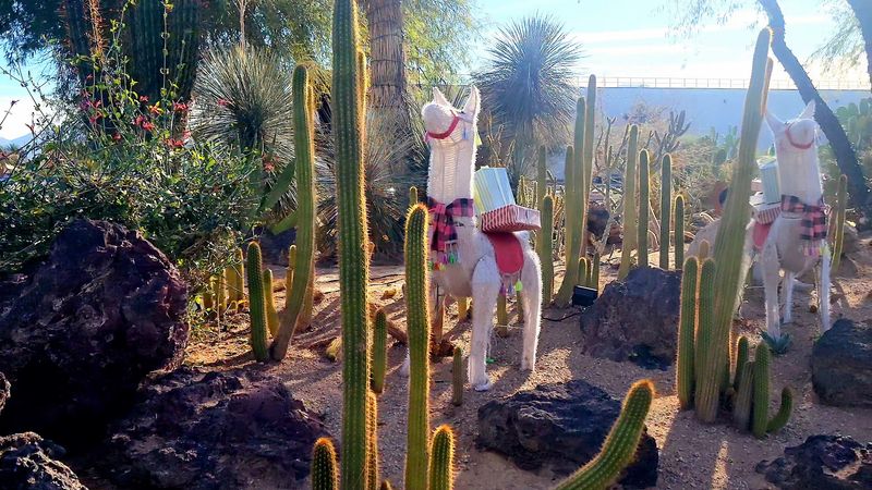 Photography Opportunities Around Every Corner