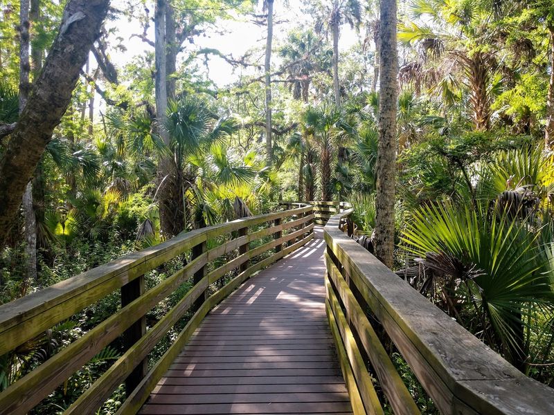 12 Country Roads in Florida Perfect for a Scenic Drive 8 Black Bear Wilderness Area - Sanford, Florida