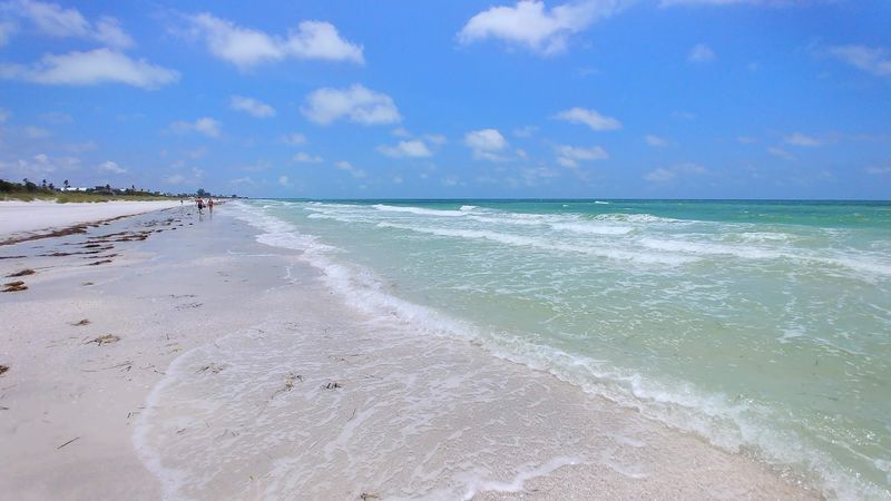 The Florida spot locals love when they want a break from crowds, traffic, and noise 5 Shell Key Preserve: A Boat Ride to Nowhere Else
