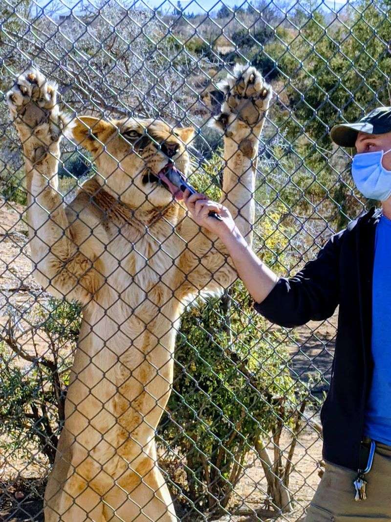 The VIP Tour Package