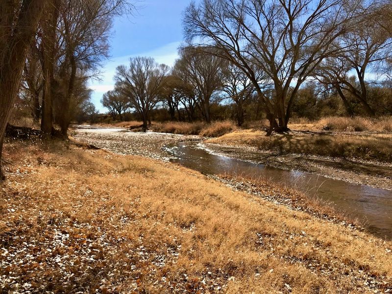 San Pedro Riparian National Conservation Area - Sierra Vista, Arizona