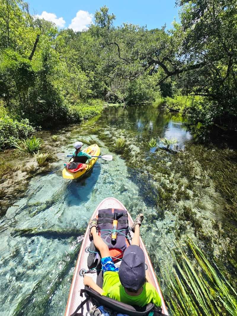Kayaking and Canoeing the River: Paddle Through a Living Painting