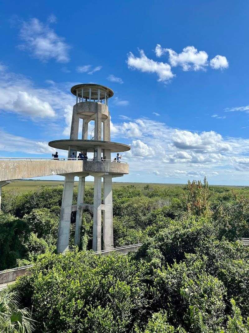 Hike to This Florida Overlook That Resembles a Mini Space Needle 2 What Makes the Tower Look Like a Mini Space Needle