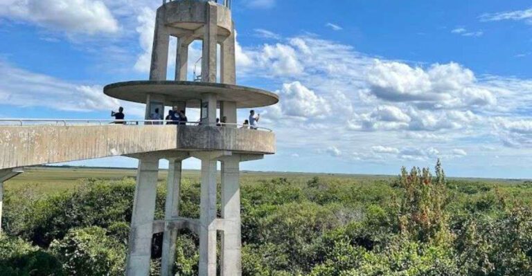 Hike to This Florida Overlook That Resembles a Mini Space Needle