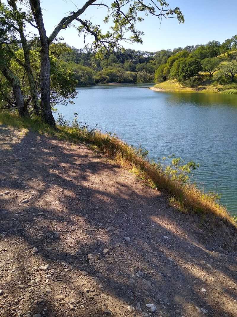 This quiet California wine country spot feels like a secret people are struggling not to share 6 Creekside Picnics Along Sonoma Creek