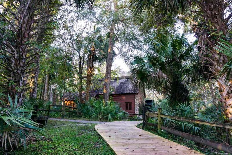 Hammock Camping and Relaxing in the Trees