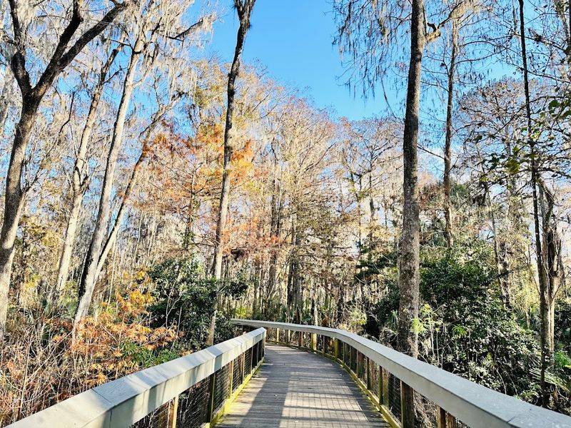 The Scenic Boardwalk and River Views
