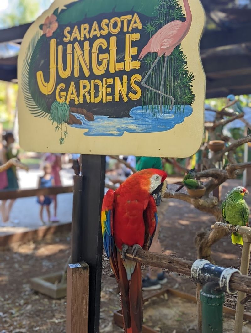 This Magical Florida Garden Lets You Hand-Feed Flamingos and Meet Lemurs 5 The Interactive Animal Shows