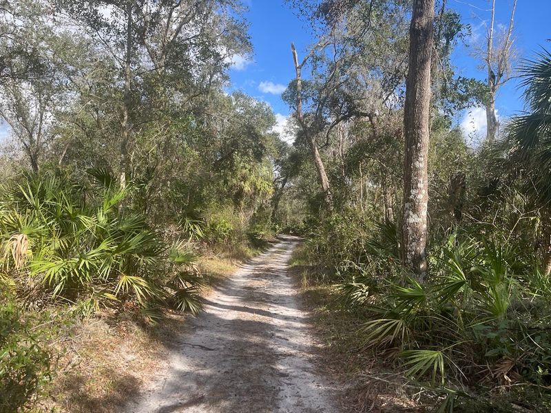 Paynes Creek Historic State Park - Bowling Green, Florida