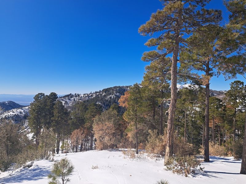 Mount Lemmon - Summerhaven, Arizona