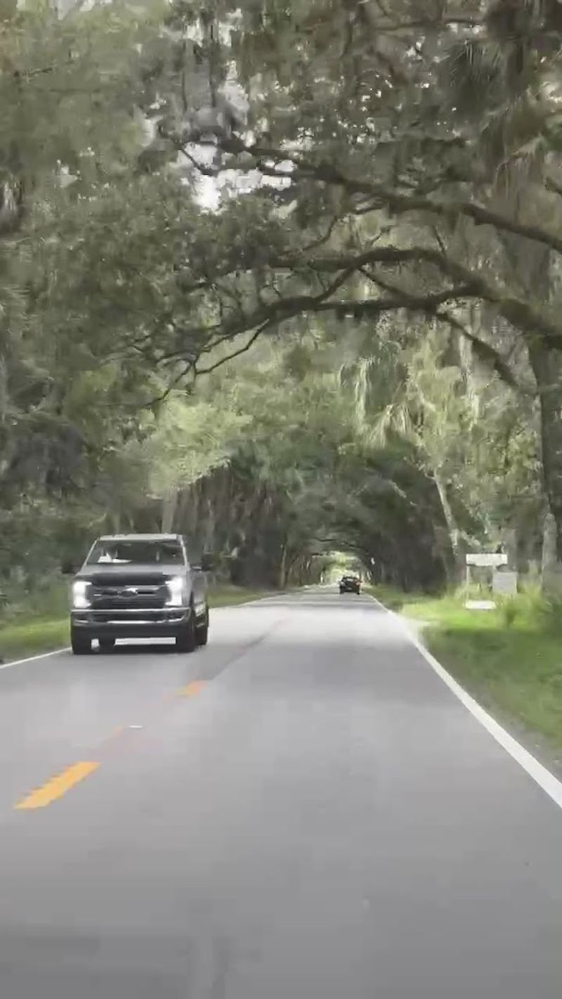 Safety Tips for Driving Martin Grade Scenic Highway