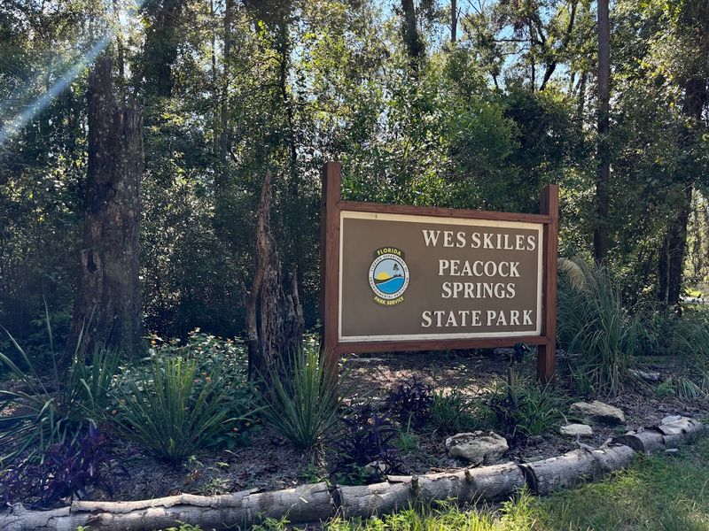 A Tribute to Wes Skiles, the Man Behind the Park's Name