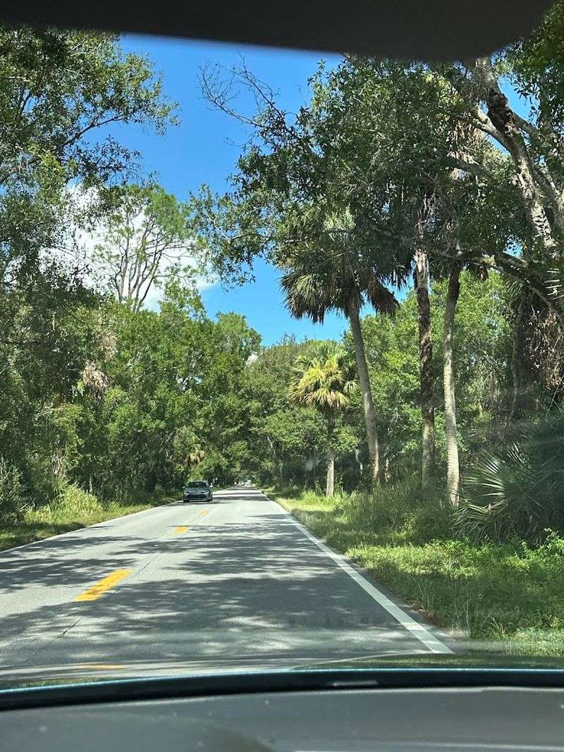The Best Seasons and Weather for Visiting This Scenic Road