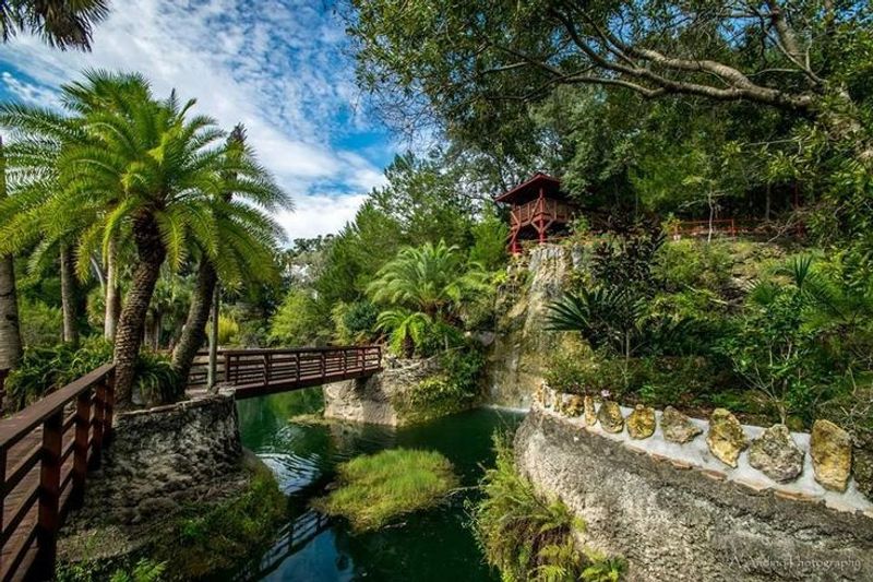 Cedar Lakes Woods and Gardens - Williston, Florida